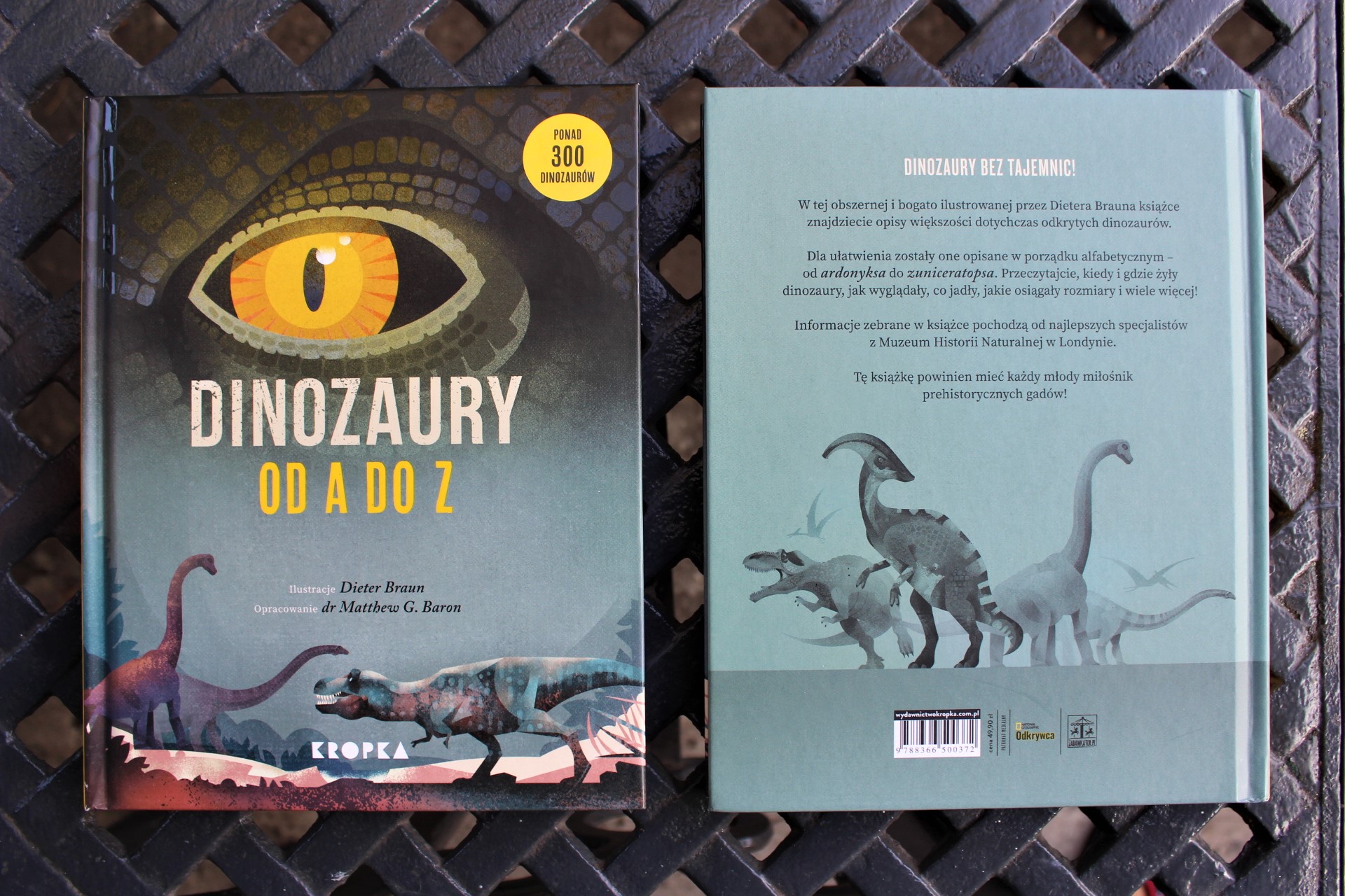 Książka O Dinozaurach Dla 6 Latka Najlepsza książka o dinozaurach - "Dinozaury od A do Z" - Zabawkator