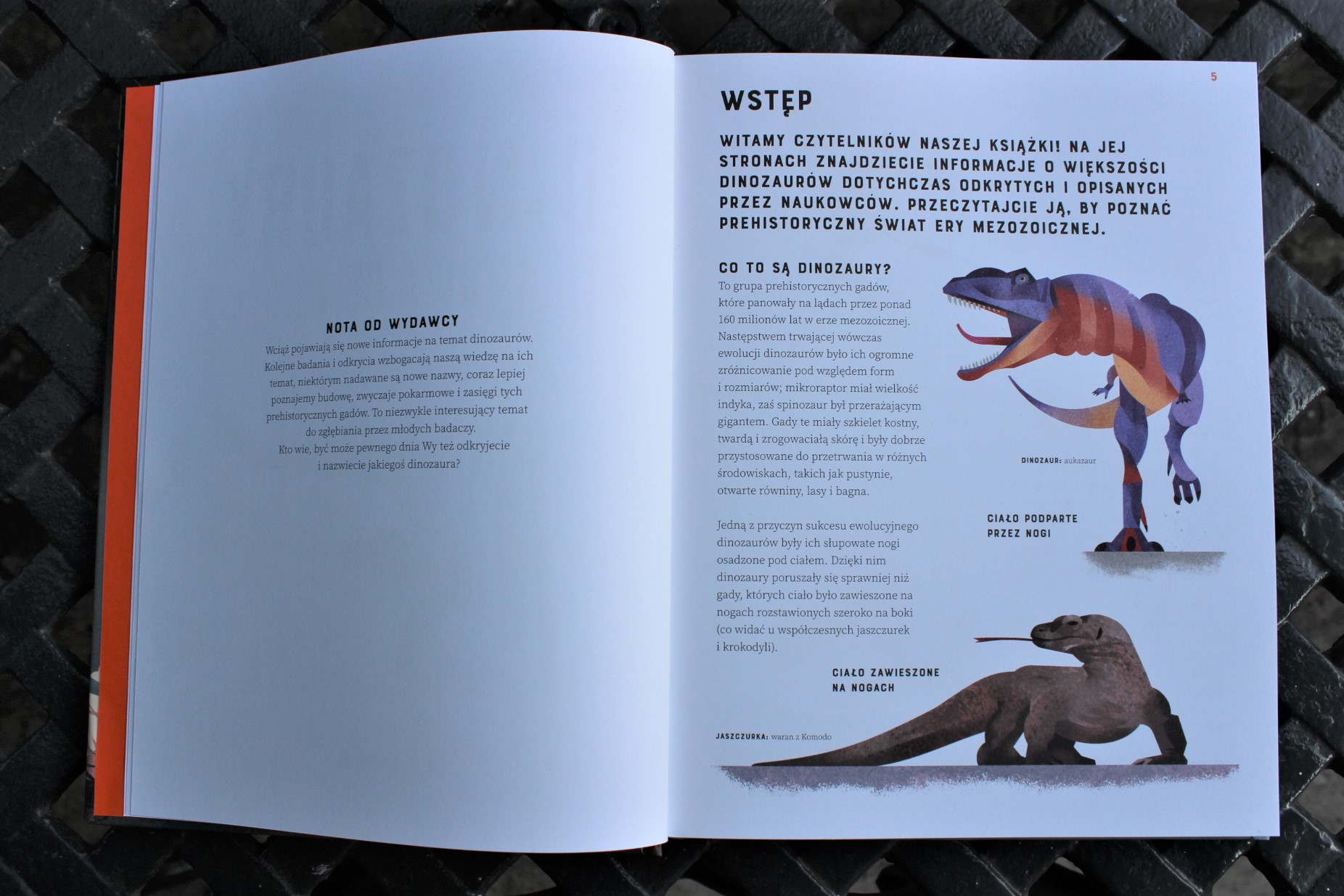 Książka O Dinozaurach Dla 5 Latka Najlepsza książka o dinozaurach - "Dinozaury od A do Z" - Zabawkator